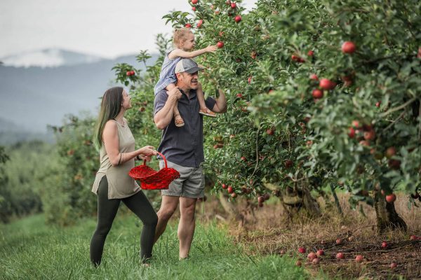 A family enjoying apple picking