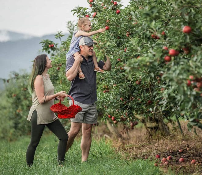 A family enjoying apple picking
