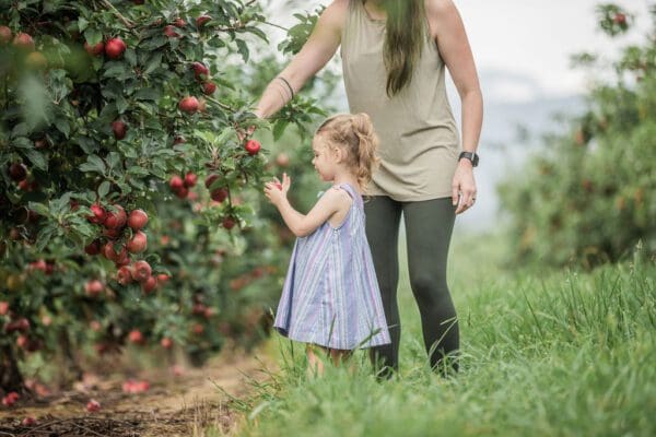 a child picking apples