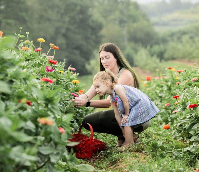 A mother and daughter picking flowers