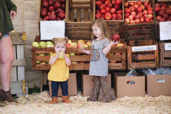 children choosing apples