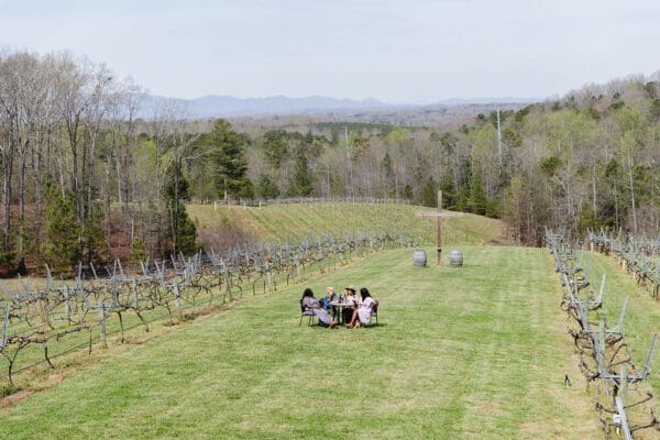 a group of women enjoying wine at a vineyard