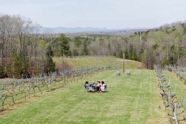 a group of women enjoying wine at a vineyard