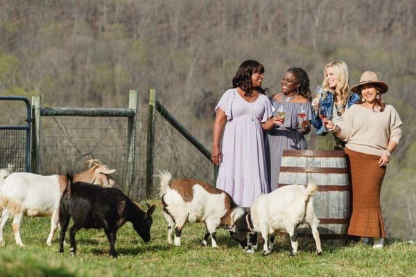 women drinking wine and playing with goats