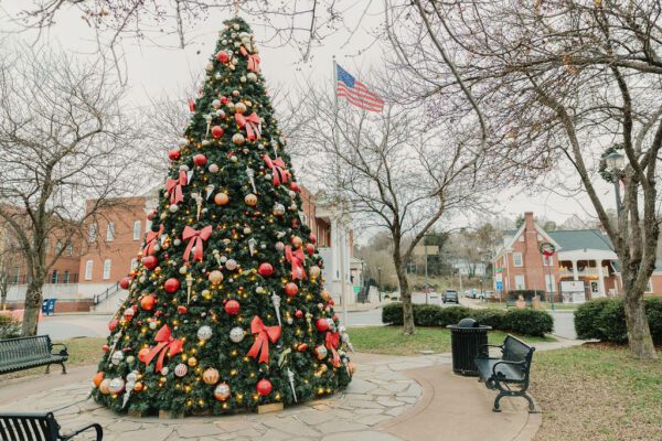 a large christmas tree in public space