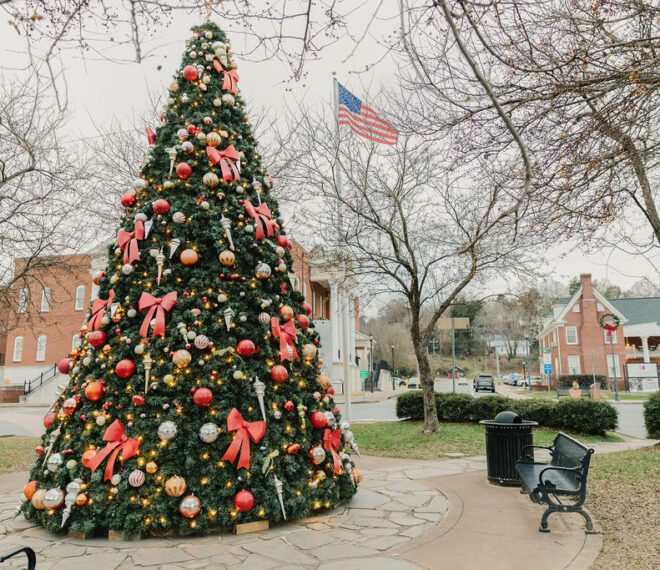 a large christmas tree in public space