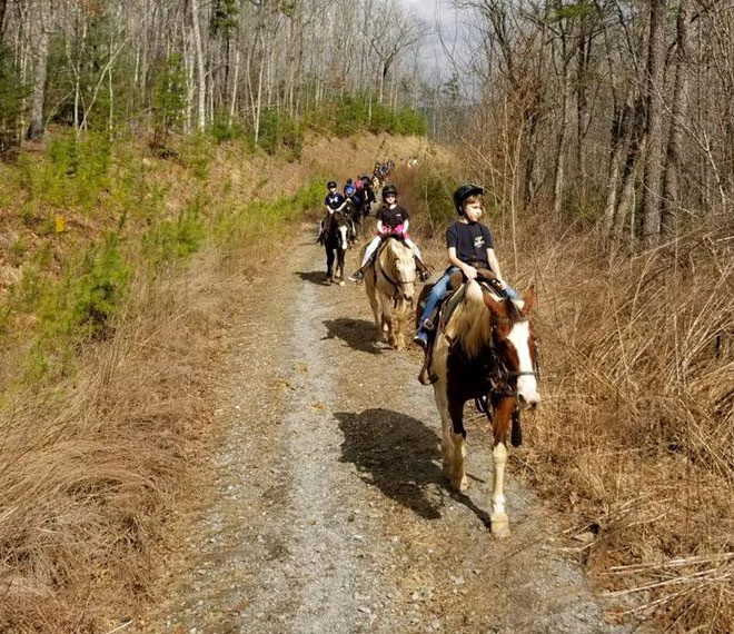 children riding horses on a trail