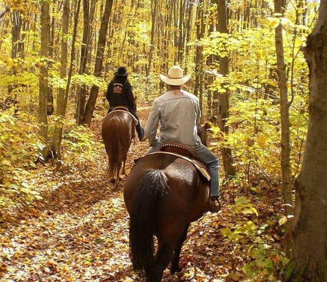 horseback riding in a forest