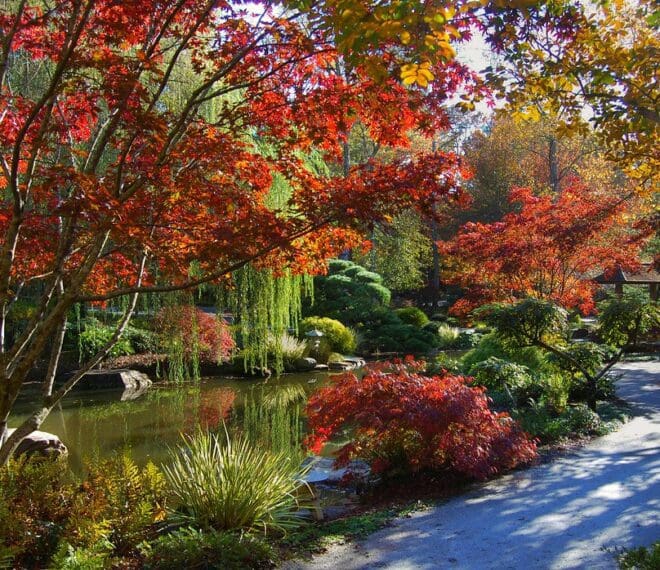 beautiful gardens by a lake