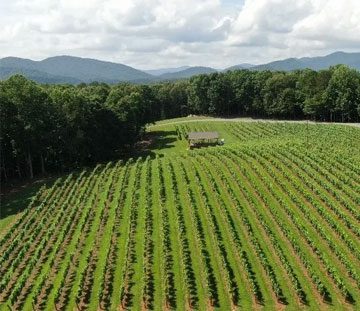 aerial view of Roo Mountain Vineyards