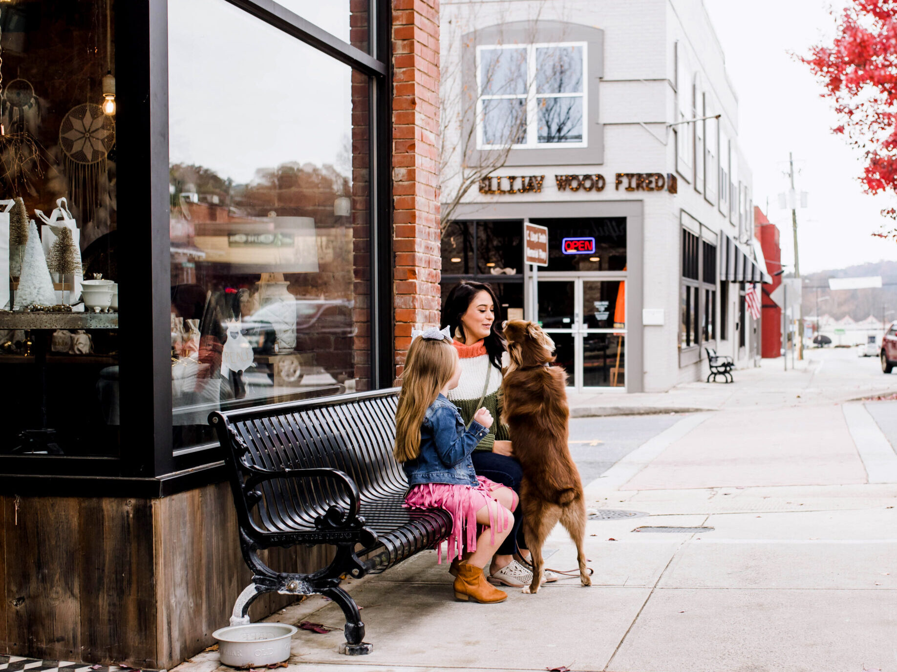 family and pet in Downtown Ellijay