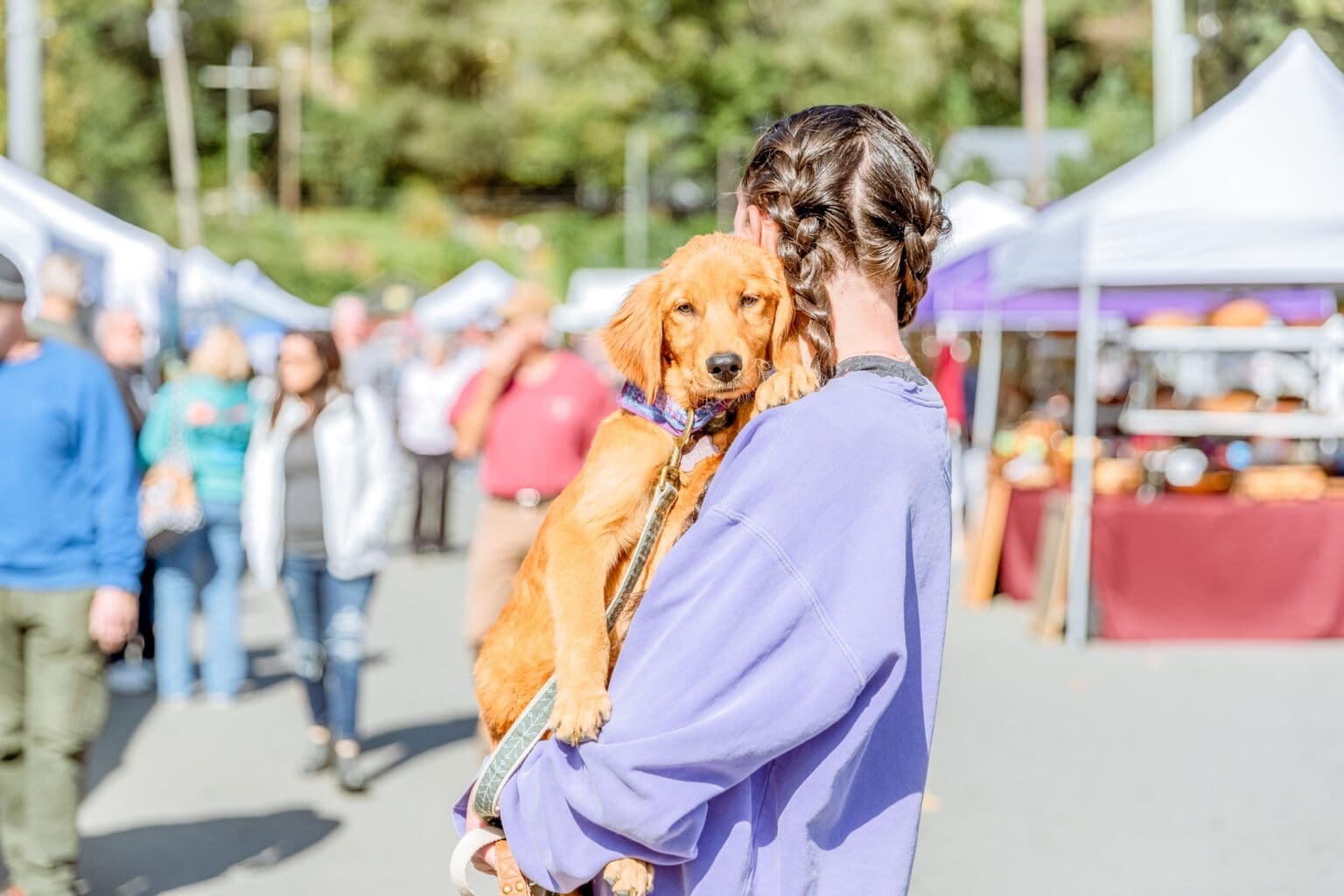 apple-arts-festival-in-downtown-ellijay-ga-gilmer-county-chamber