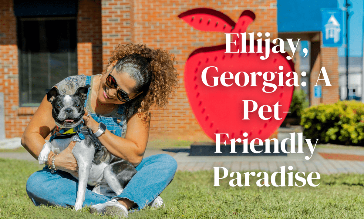 Ellijay, A PetFriendly Paradise Gilmer County Chamber